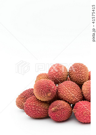 ライチ: lychee (litchi) 41575415