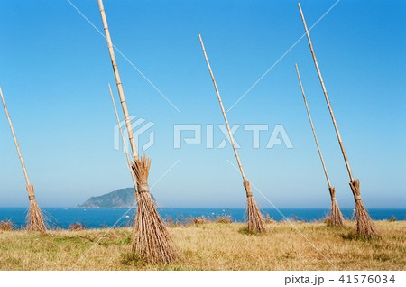 台湾 基隆 海 41576034