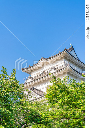 小田原城 本丸 41578196