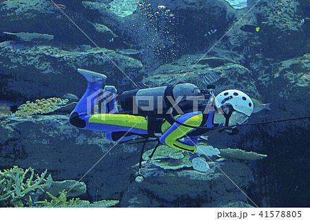 ダイバー 41578805