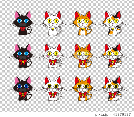 Cat's illustration 41579157