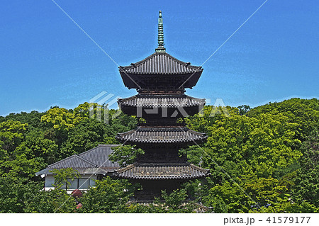 八事興正寺点景 八事興正寺点景 41579177