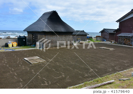 揚げ浜式塩田 角花家 揚げ浜式塩田 角花家 41579640