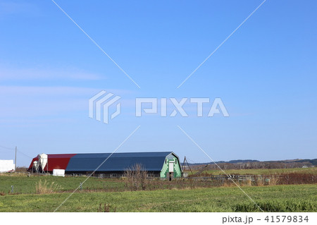 北海道　道北地方　牧場のある風景 41579834