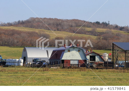 北海道 道北地方 牧場のある風景 北海道 道北地方 牧場のある風景 41579841
