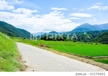 田園風景 (7月) 田園風景 (7月) 41579981