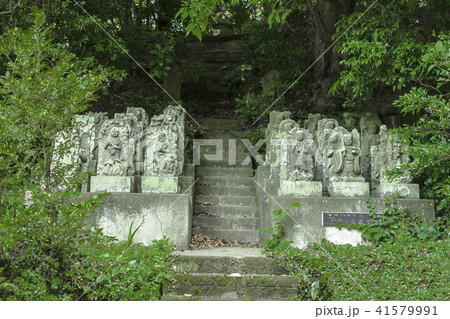 称名寺の不動堂背後にある大日如来像と三十六童子像（鎌倉市今泉） 41579991