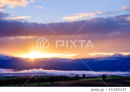 美瑛の夜明け 41580197