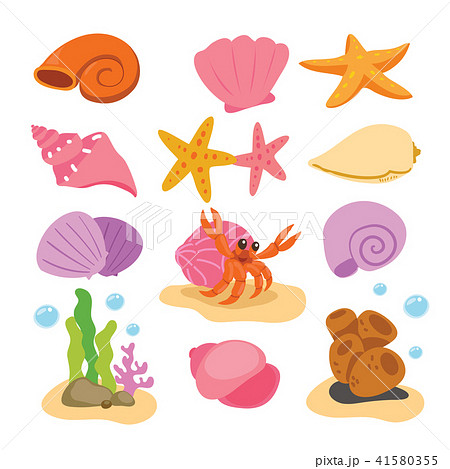 Shell Vector Collection Designのイラスト素材