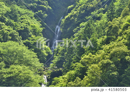 【徳島県　つるぎ町】鳴滝 41580503