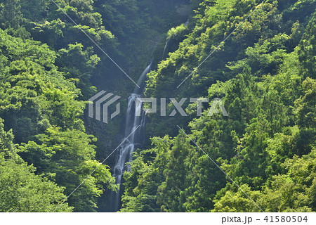 【徳島県　つるぎ町】鳴滝 41580504