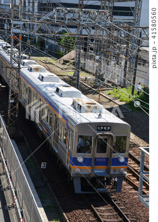 南海電車 南海電車 41580560