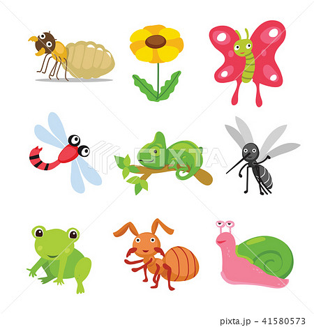 insects character design 41580573