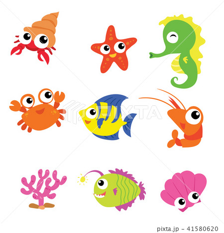 ocean vector collection design 41580620
