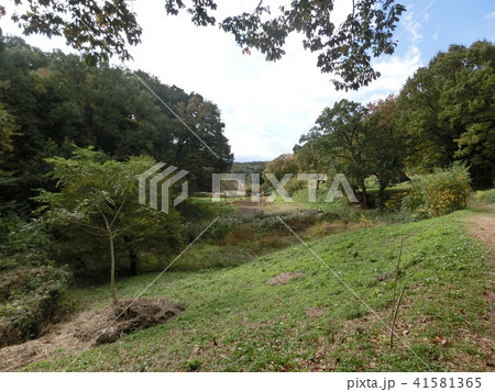 奈良ばい谷戸（東京都町田市） 41581365