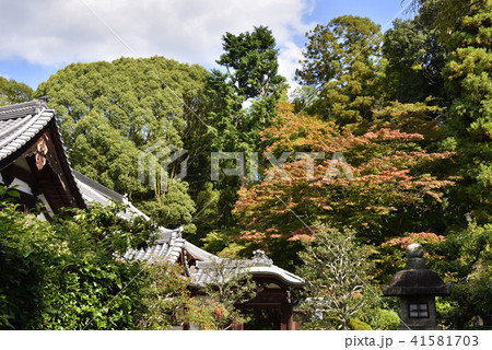 金戒光明寺塔頭寺院　栄摂院 41581703