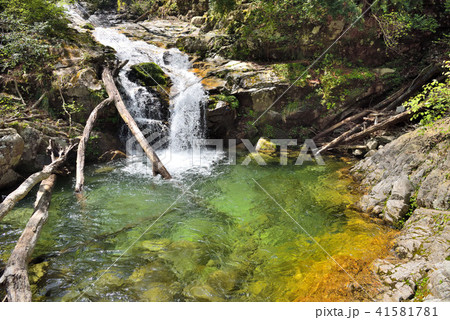 武奈ヶ岳の沢 41581781
