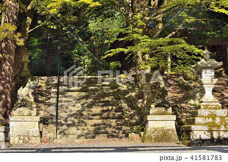 武奈ヶ岳の麓の神社 41581783
