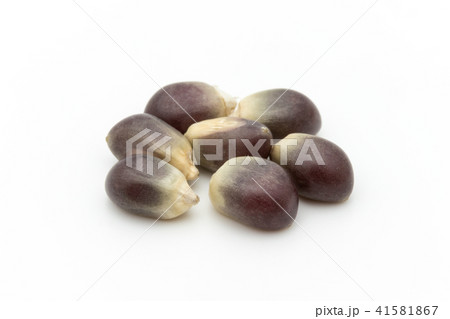ブラックポップコーンカーネル: black popcorn kernels  41581867