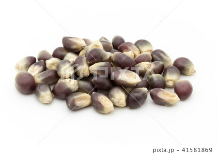 ブラックポップコーンカーネル: black popcorn kernels  41581869