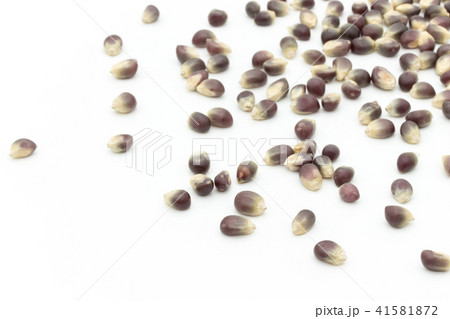 ブラックポップコーンカーネル: black popcorn kernels ブラックポップコーンカーネル: black popcorn kernels 41581872