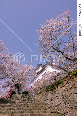 鶴山公園津山さくらまつり~津山城備中櫓~ 鶴山公園津山さくらまつり~津山城備中櫓~ 41582724