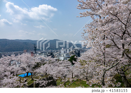 鶴山公園津山さくらまつり～津山市街地～ 41583155