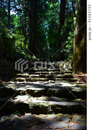 大門坂 熊野古道 大門坂 熊野古道 41583733