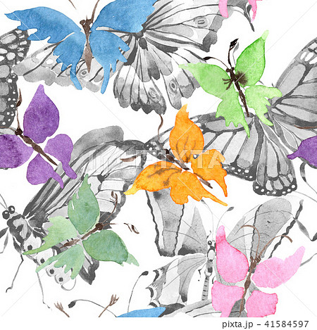 Rare butterflies wild insect in a watercolorのイラスト素材