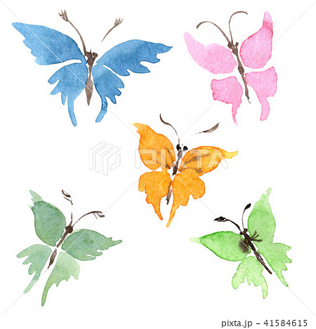 Rare butterflies wild insect in a watercolor style isolated. 41584615