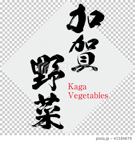 加賀野菜・Vegetables（筆文字・手書き） 41584679