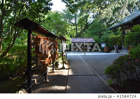 報徳二宮神社 小田原市 報徳二宮神社 小田原市 41584724