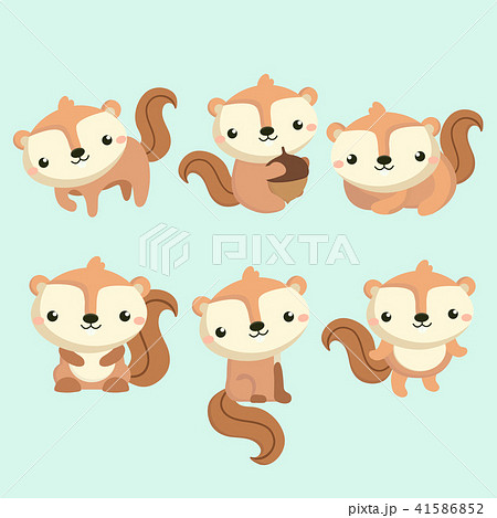 Little cute squirrel in different poses. 41586852