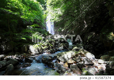 渓流 41587374
