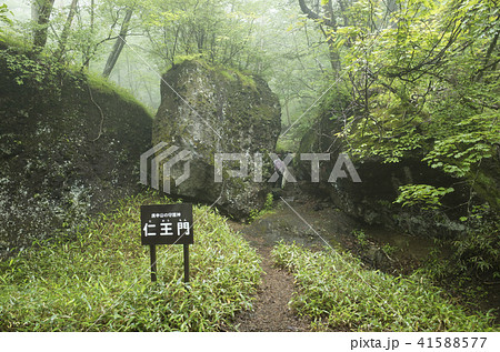 庚申山登山道 仁王門 庚申山登山道 仁王門 41588577