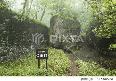 庚申山登山道 仁王門 庚申山登山道 仁王門 41588578