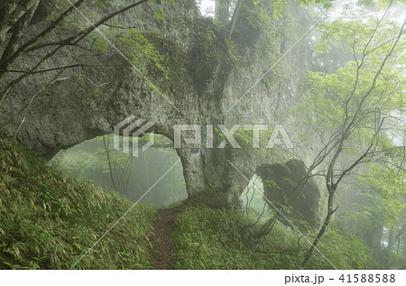 庚申山登山道　お山巡りコース　めがね岩 41588588