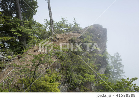 庚申山登山道 お山巡りコース 本社の見晴 庚申山登山道 お山巡りコース 本社の見晴 41588589