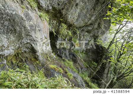 庚申山登山道 勝道上人行場周辺 庚申山登山道 勝道上人行場周辺 41588594