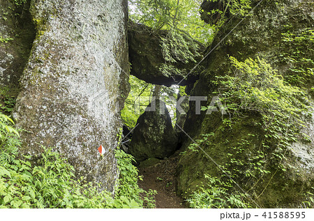 庚申山登山道 一の門 庚申山登山道 一の門 41588595