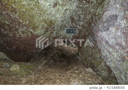 庚申山登山道　大胎内 41588600