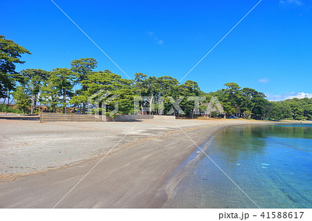 御浜岬公園 41588617
