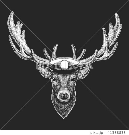 Deer Vector print for children. Capitan, pirate animal. Brave sailor. Design for kindergarten 41588833