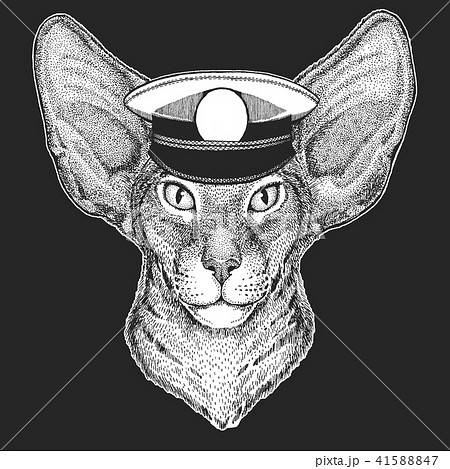 Cat, oriental cat Vector print for children. Capitan, pirate animal. Brave sailor. Design for 41588847