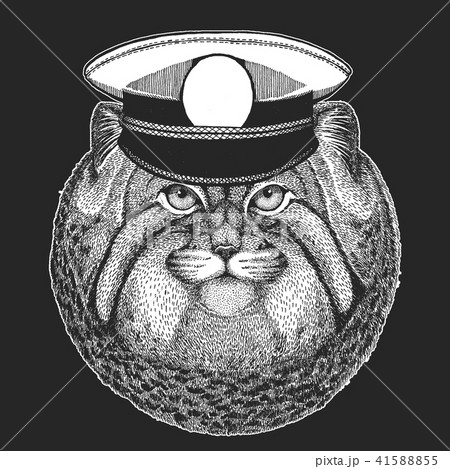 Wild cat Manul Vector print for children. Capitan, pirate animal. Brave sailor. Design for 41588855
