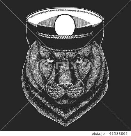 Panther, Puma, Cougar, Wild cat Vector print for children. Capitan, pirate animal. Brave sailor Panther, Puma, Cougar, Wild cat Vector print for children. Capitan, pirate animal. Brave sailor 41588865