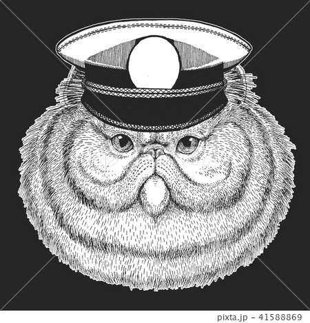 Persian cat Vector print for children. Capitan, pirate animal. Brave sailor. Design for kindergarten Persian cat Vector print for children. Capitan, pirate animal. Brave sailor. Design for kindergarten 41588869