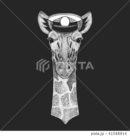 Camelopard, giraffe Vector print for children. Capitan, pirate animal. Brave sailor. Design for 41588914