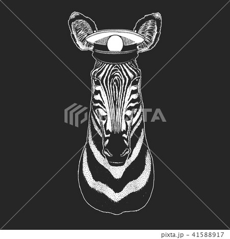 Zebra, horse Vector print for children. Capitan, pirate animal. Brave sailor. Design for 41588917