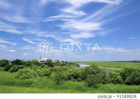 夏の渡良瀬遊水地 夏の渡良瀬遊水地 41589628